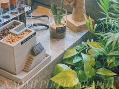 -CoffeeVendor(西乡店)