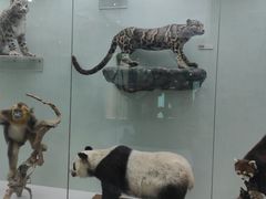 -国家自然博物馆