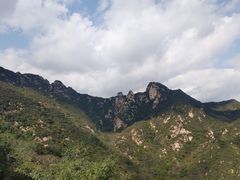 -大岭沟猕猴桃谷风景区