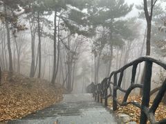 -沂蒙山旅游区云蒙景区(蒙山国家森林公园)