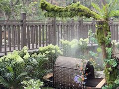 -沂蒙山旅游区云蒙景区(蒙山国家森林公园)