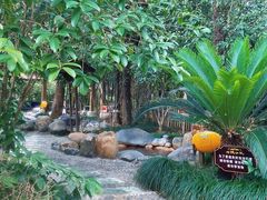 -张家港金凤凰度假村温泉