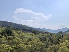 -陶祖圣境风景区