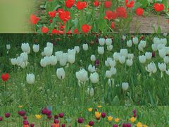 -长春公园(普阳街道)