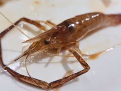 -华盛丰温州大排档(东三环南路店)