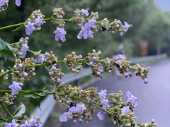 -青州市云门山风景区