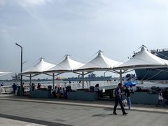 -泰达航母主题公园