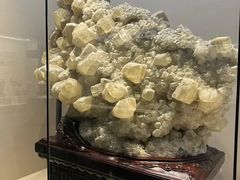 -安徽省地质博物馆