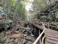 -藏龙百瀑风景区