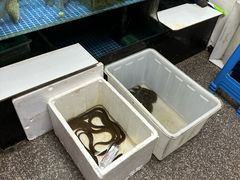 -小本鸡饭店(滨江白马湖店)