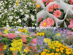 -双季花艺园艺市场(浦东店)