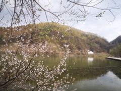 -玉渡山自然风景区