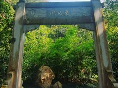 -深圳国际园林花卉博览园