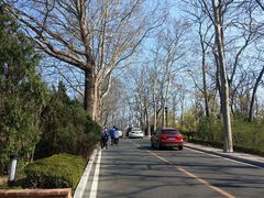 -棒棰岛宾馆景区