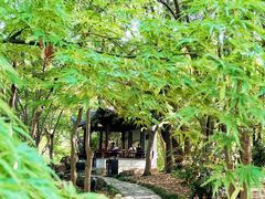 -秋霞圃