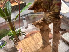 -顺德南宏海立方海洋公园