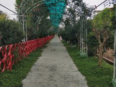 -百万葵园