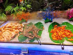 -鼎香缘海鲜自助火锅烤肉(锦辉购物广场店)