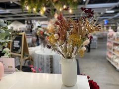-宜家·瑞典风味餐厅(天津东丽商场店)
