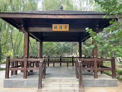 -大兴滨河森林公园