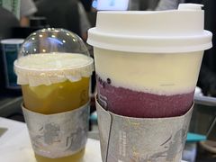 -雾与山茶(大禹城店)