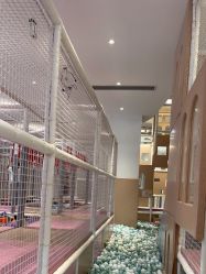 点击看大图 -超级奈尔宝SUPER NEOBIO(杭州星光店)