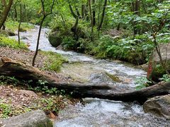 -玉渡山自然风景区