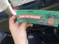 -美的鹭湖探索王国