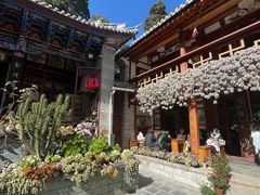 -寂照庵