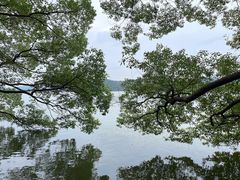 -东湖生态旅游风景区