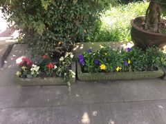 -峨眉山报国寺
