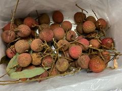 -百果园PAGODA(玄武成贤街店)