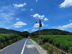 -中国茶叶博物馆(双峰馆区)