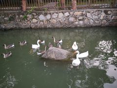 -香山小厨(南联路店)