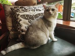 -咖法森林·咖啡  酒吧(天河店)