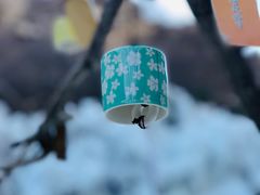 -黑龙潭风景区