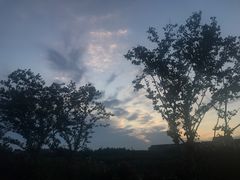 -周浦花海-停车场