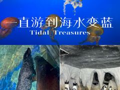 -太平洋海底世界