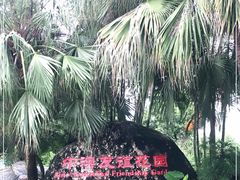 -中澳友谊花园