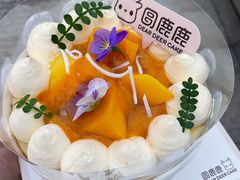-圆鹿鹿·鲜果半糖蛋糕(常平店)