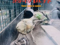 -天津市动物园