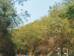 -梧桐山风景名胜区