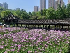 -龙头寺公园