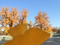 -北京石刻艺术博物馆(五塔寺)