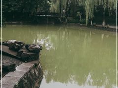 -西安市长乐公园