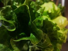 -潮发潮汕牛肉店(龙洞店)