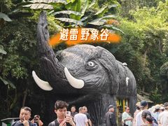 -野象谷景区