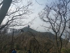 -杭州半山国家森林公园