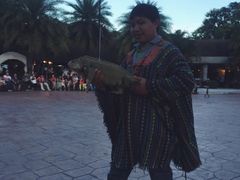 -清迈夜间动物园