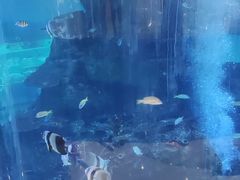 -鸿通城购物中心